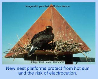 Eagle pylon nest platform