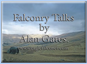 Falconry Talk by Alan Gates