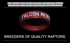 Falcon Mews Raptor breeders