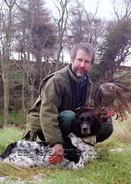 Goshawk and Munsterlander