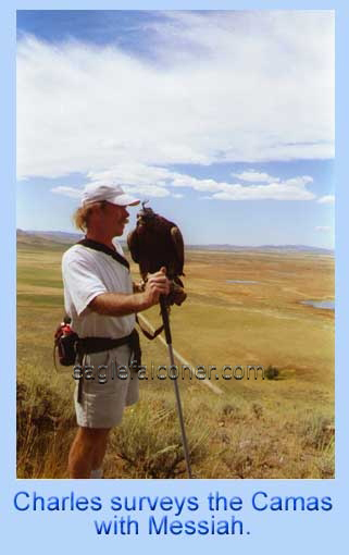Charles Browning American eagle falconer