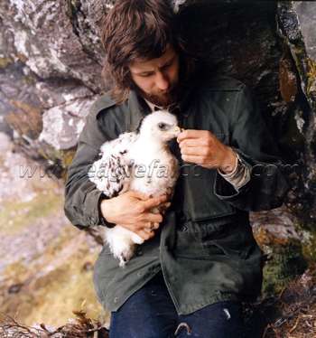 Eaglet Scotland