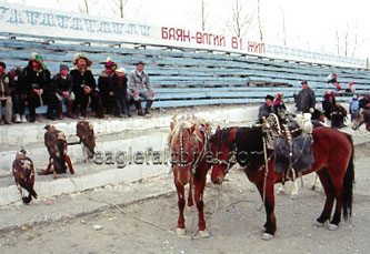 Mongolian horses and eagles