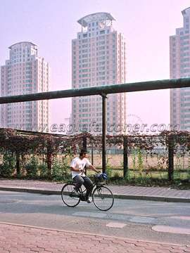 Hawking on bicycle