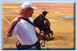 American Falconry