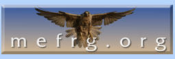 Middle East Falcon Research Group