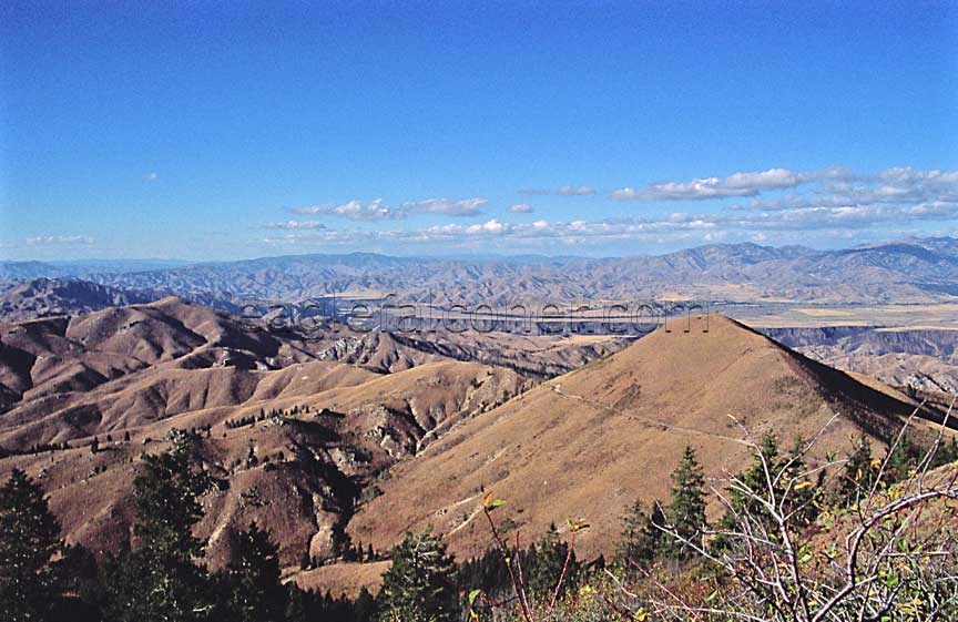 Raptor Trapping ridge