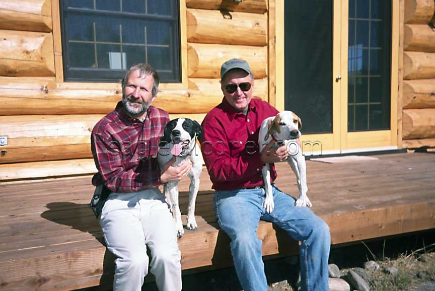 American falconry dogs