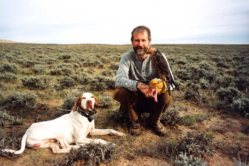 Alan Gates with American peregrine