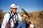 Bruce Haak, American falconer