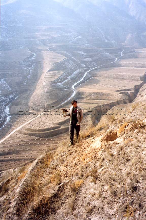 Hawking in Central China