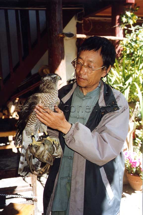 Naxi Falconer with goshawk, China