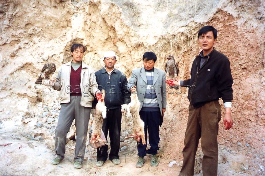 Chinese falconers with goshawks