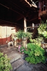 Falconry in Lijiang