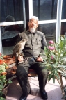 Chinese falconer