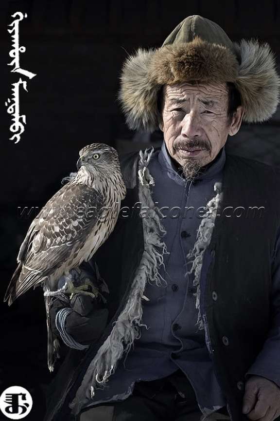 PG_CH_M_G_Manchu_Falconer1.jpg