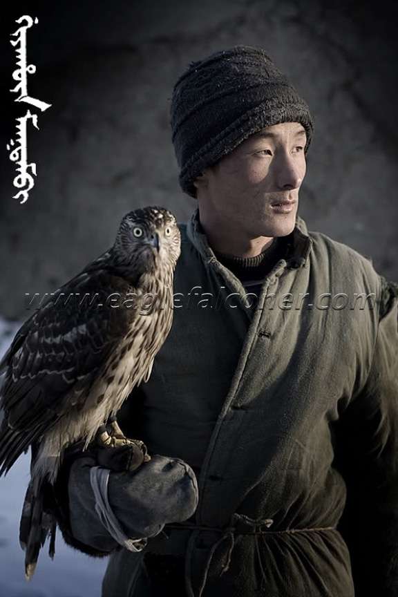 Falconry in Manchuria