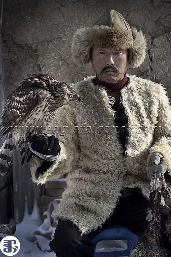 Manchurian goshawk falconer