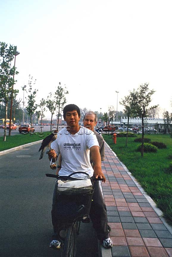 Bicycle hawking in China