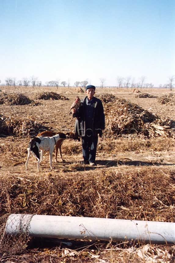 TuHu Chinese farmer falconer