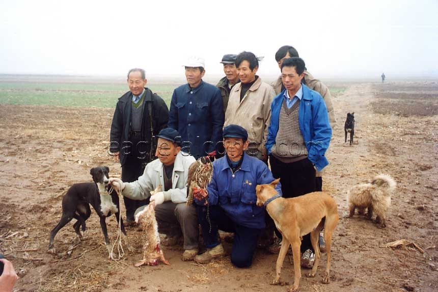 Chinese peasant falconers