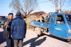 Village falconry in China