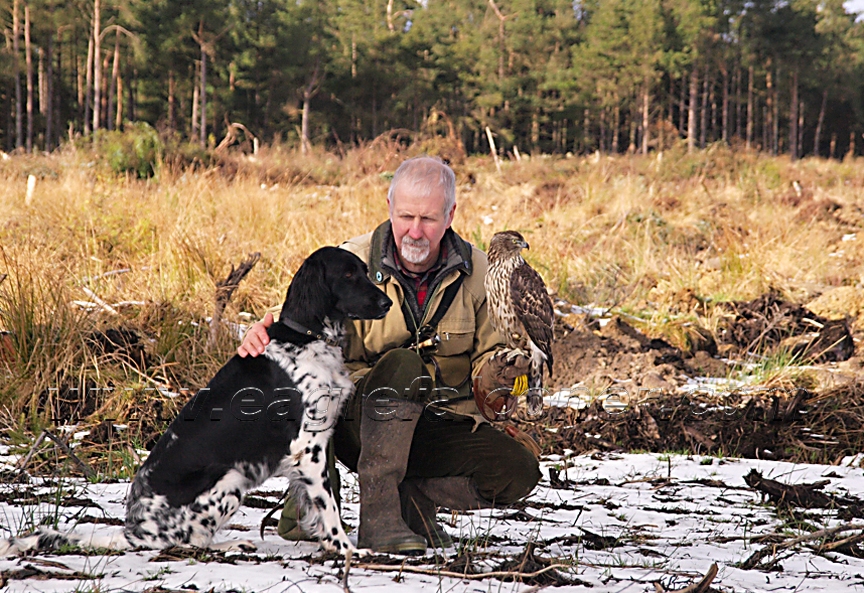 Hawk and dog together