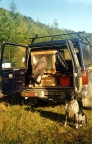 Eagle and dog in vehicle