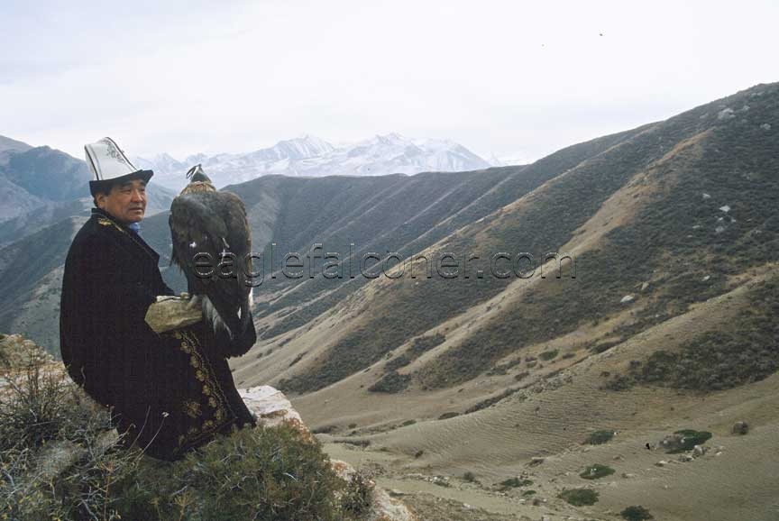Kyrgyz Eaglehunter, Ishpay