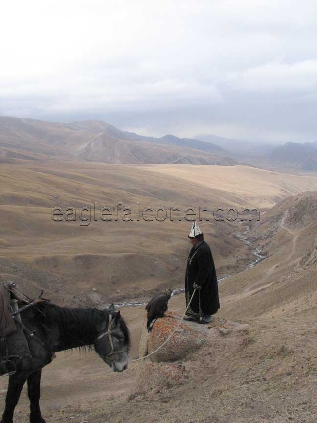 Kyrgyzstan eaglehunter