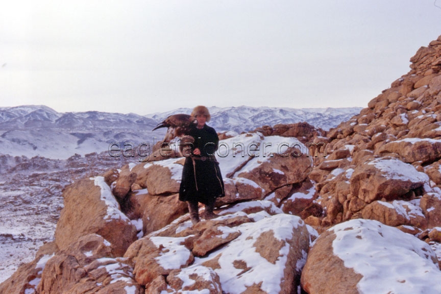 Mongolian Kazakh Eaglehunter