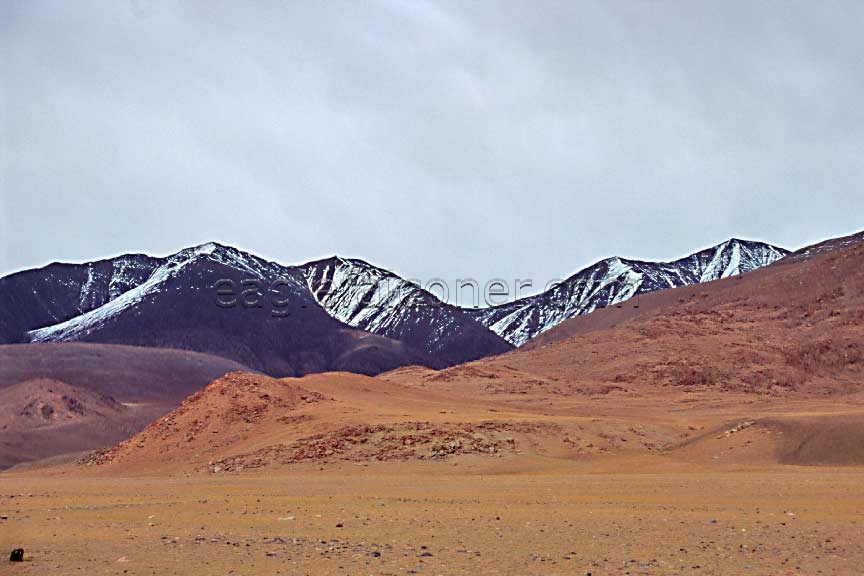 Mongolian Steppe