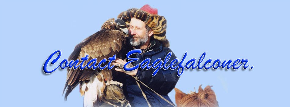 Contact Eaglefalconer