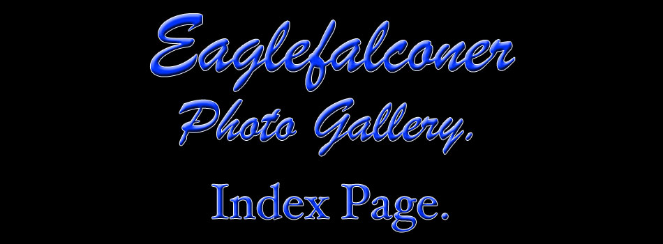 Falconry Photo Gallery